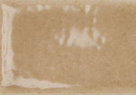 Skin Biscuit Gloss -  SQM