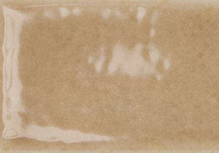Skin Biscuit Gloss -  SQM
