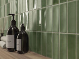 Skin Moss Gloss - SQM