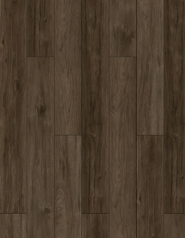 SPC GEORGIA HICKORY – SQM