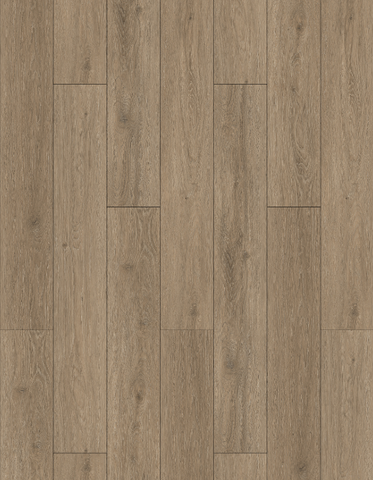 SPC MINNESOTA OAK – SQM