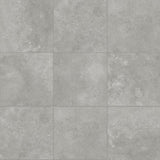 Fossil Stone Pebble - SQM