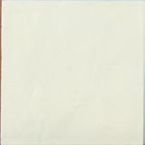 Contemporary Coconut Milk - SQM
